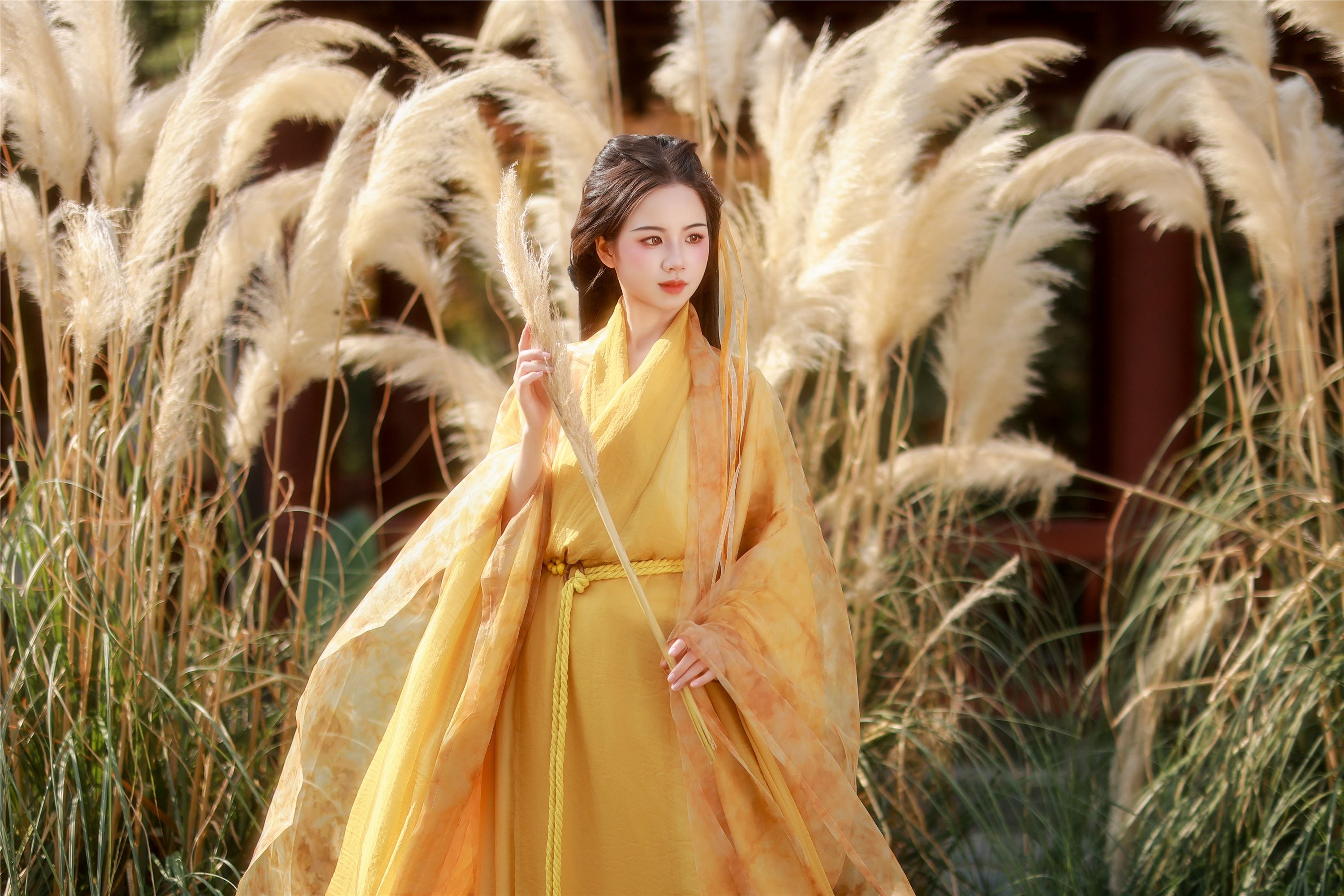 YITUYU艺图语 2025.01.26 黄衫女子 小杜同学